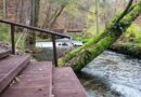 Spływ kajakowy Kamienica – moc atrakcji dla każdego, kto lubi przygody na łonie natury
